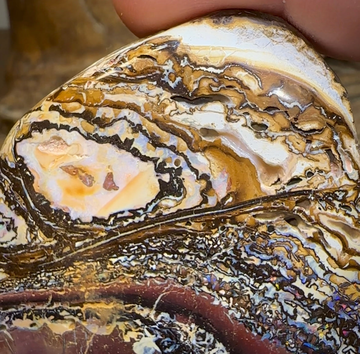 544cts - Yowah Tribal Australian Boulder Opal Specimen Polished - Opal Whisperers