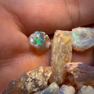 67.9cts - 13x Opalised Fossil Geological Specimens from Lightning Ridge