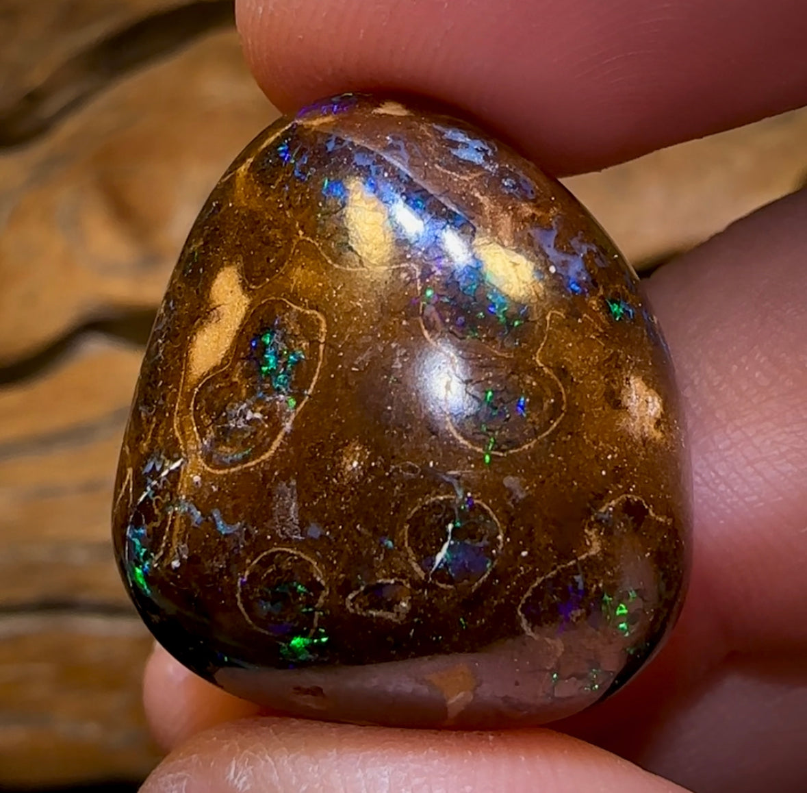57.6cts - Bubble Band Opal Specimen from Winton