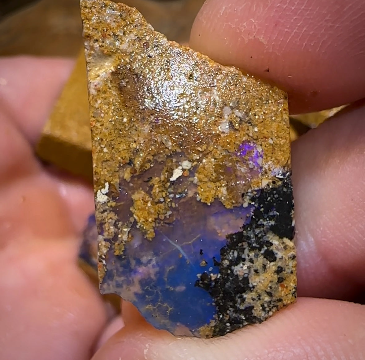 161.5cts - 5x Queensland Boulder Pipe Opal Rough Parcel BARGAIN