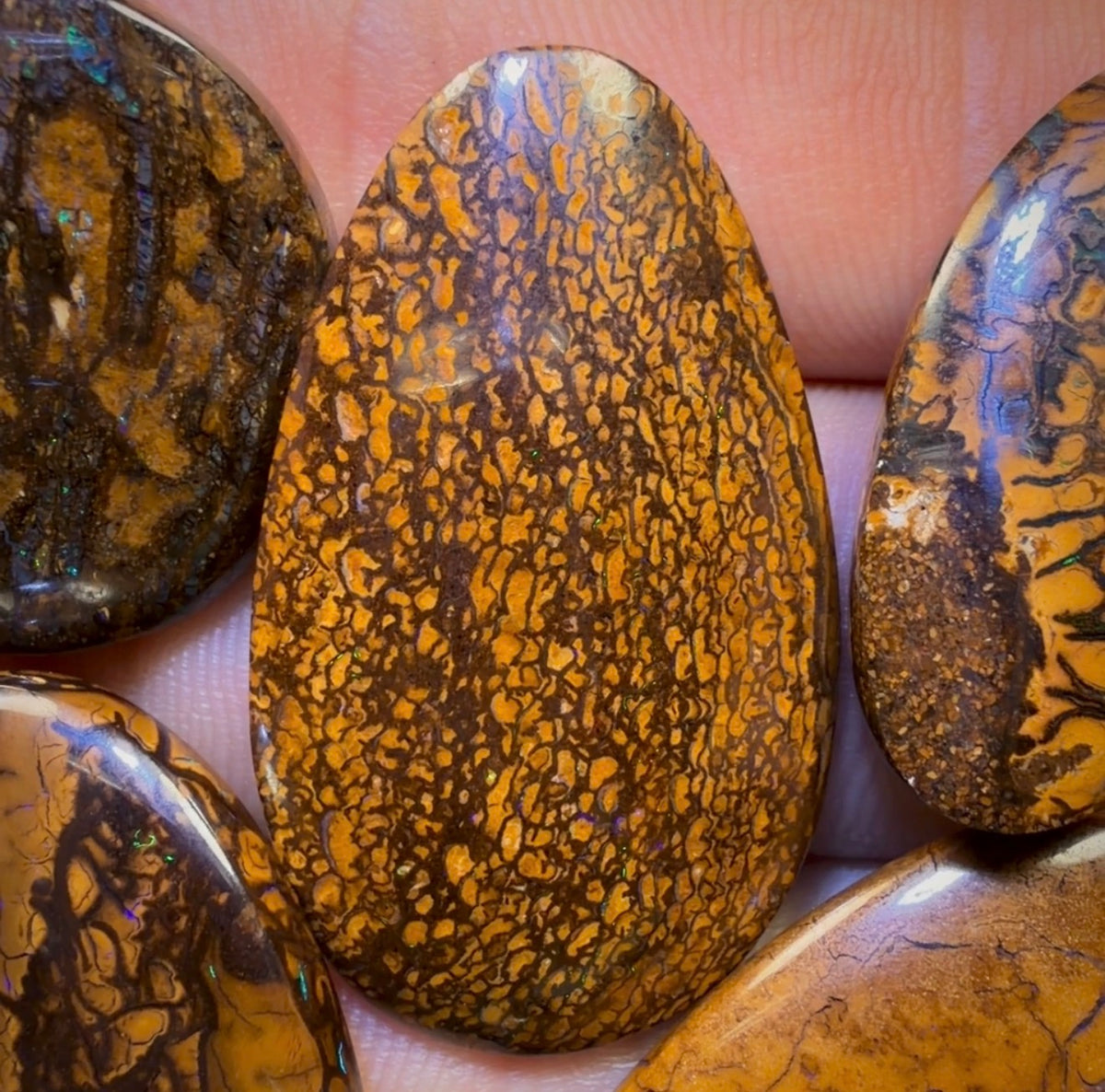 159.1cts - 5x Australian Tribal Boulder Opal’s. Wholesale Dealers Parcel