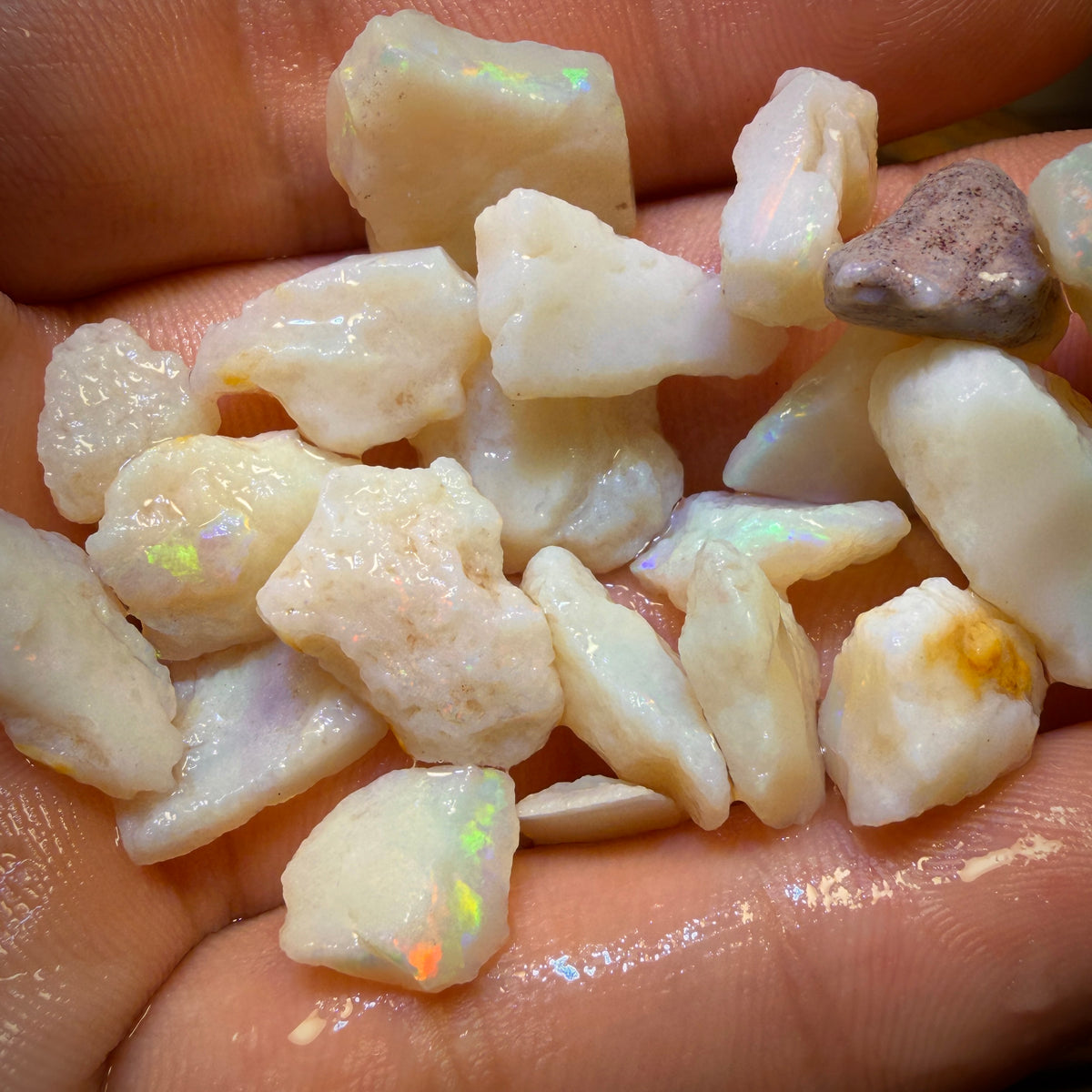 🔨 AUCTION 🔨 91.6cts - 20x South Australian White Opal Rough Parcel