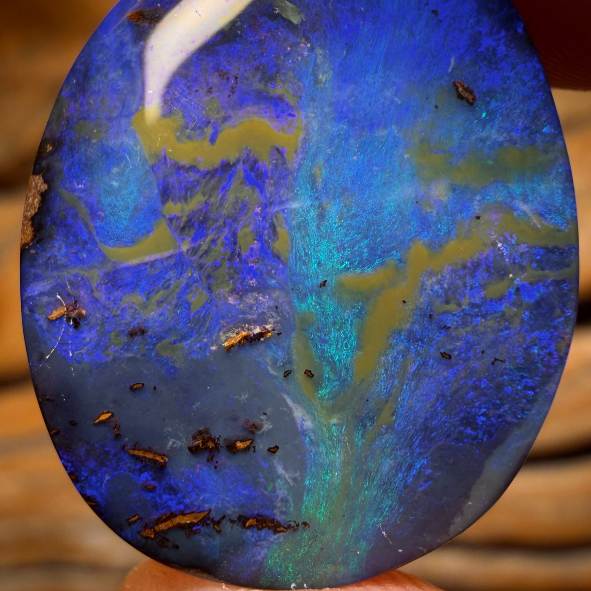 27.2cts - Australian Boulder Seam Opal. Top Reef Pattern