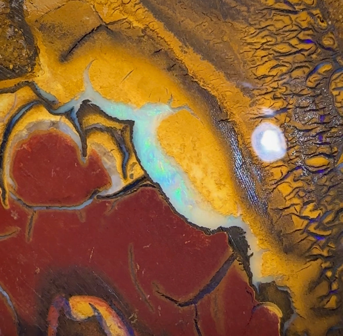 (Template) 296.1cts - Yowah Nut Opal Specimen Rub - Opal Whisperers