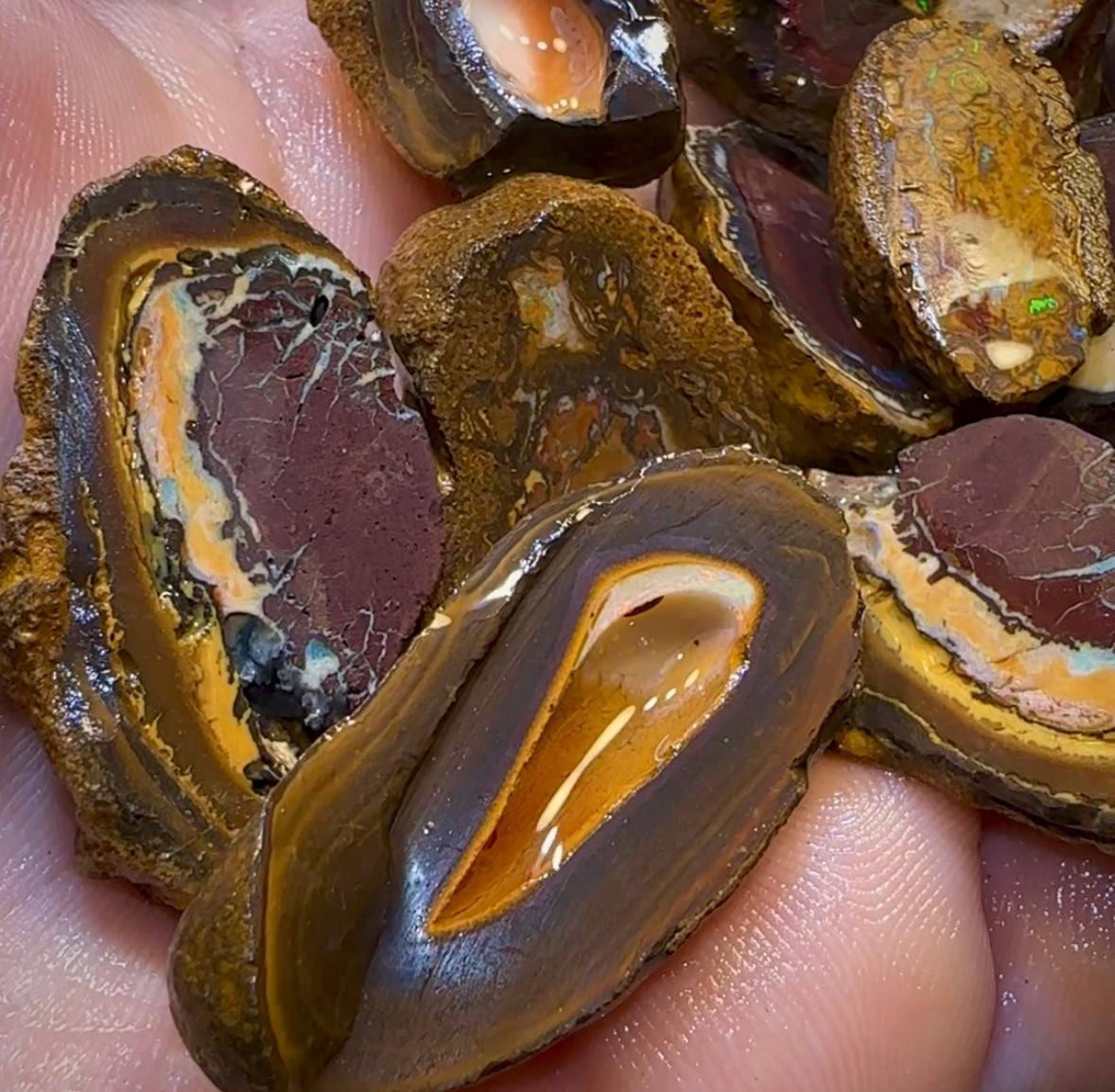 92.1g - 12x Queensland Boulder Rough Opal Parcel - Opal Whisperers