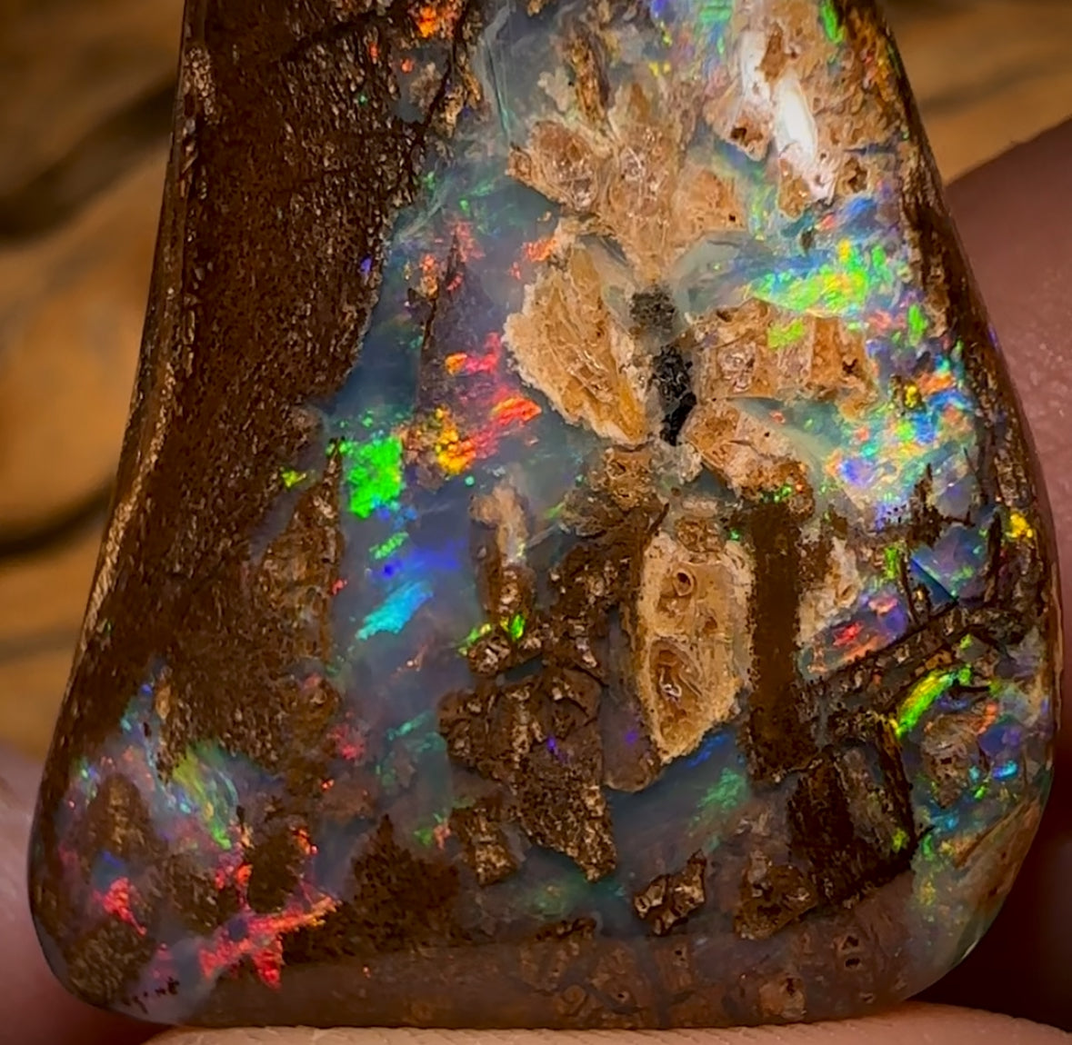 Auction Fall-Through = Your Gain! 🔥 117.5cts - Rare Australian Boulder Wood Fossil Opal Split Pair Bid for One Bid For Both