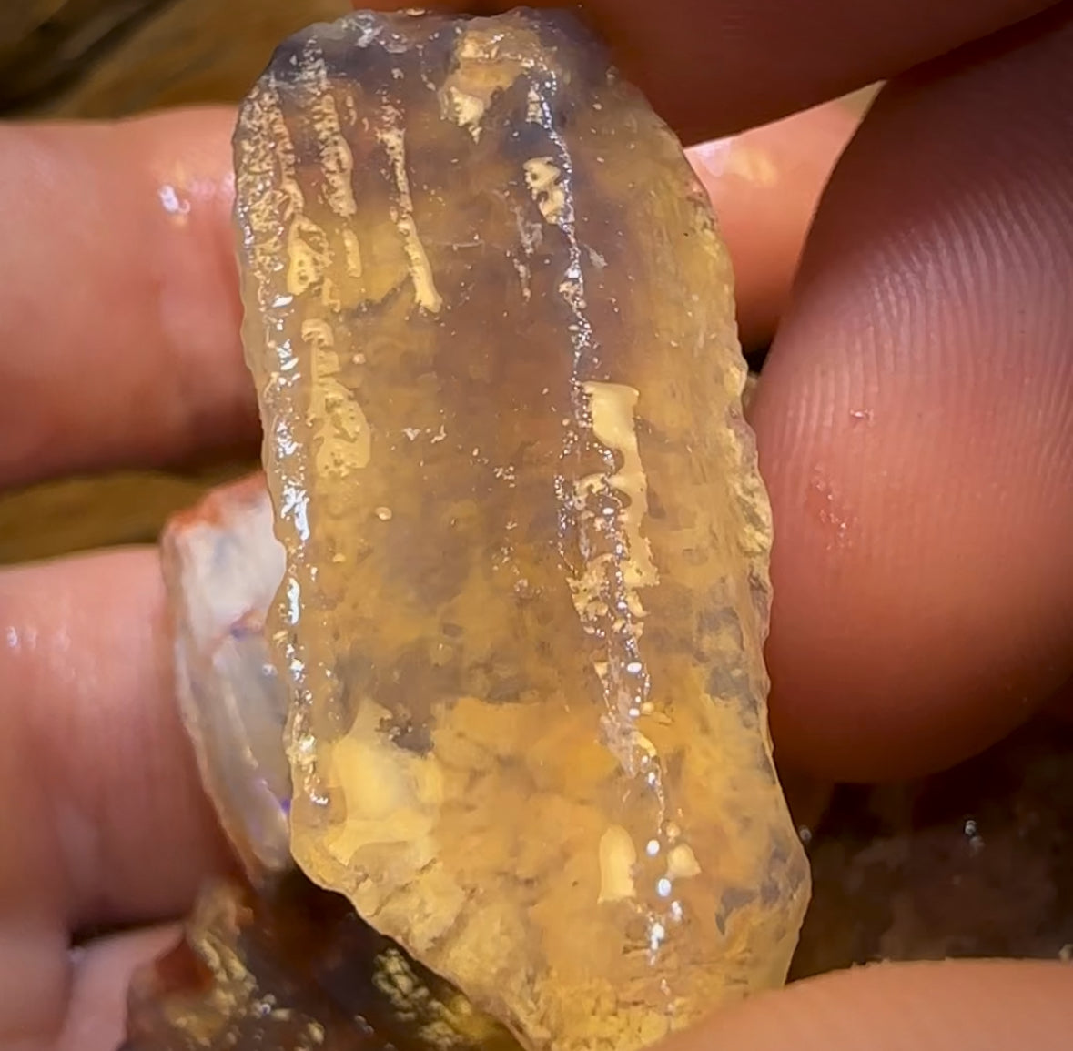 93.6cts - 5x Opalised Fossil Geological Specimens from Lightning Ridge