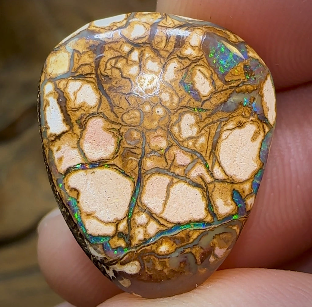 20.8cts - Yowah Nut Opal. White Porcelain Tribal Pattern