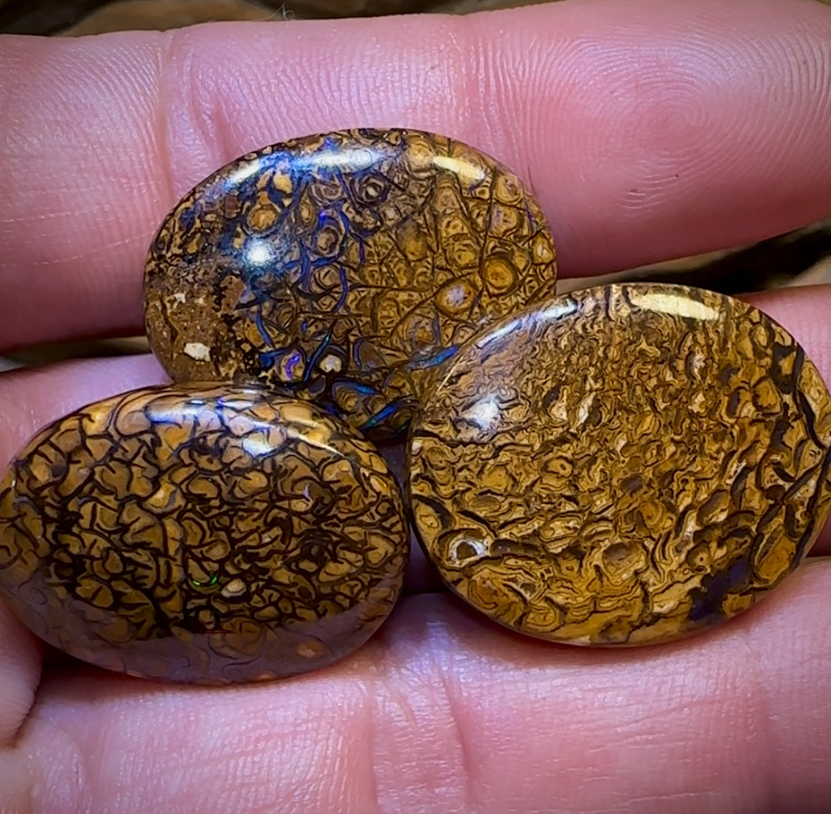 77.5cts - 3x Loose Queensland Boulder Opals. Wholesale Bargain Parcel