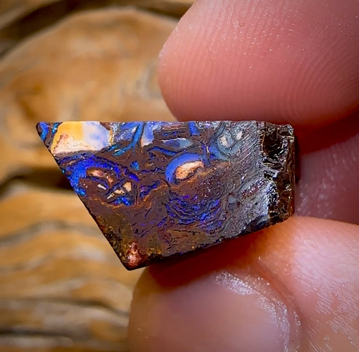 44.9cts - OMG Tribal Queensland Boulder Opal Rough Piece from Koroit