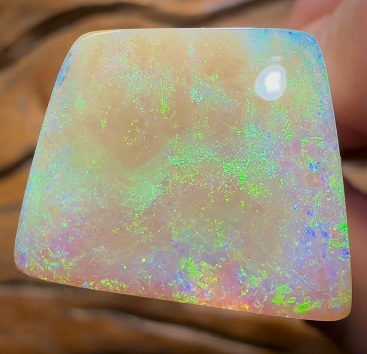 19.1cts - Yowah Nut Pure  Golden Crystal Opal. Old Material Super Rare - Opal Whisperers
