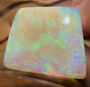 19.1cts - Yowah Nut Pure  Golden Crystal Opal. Old Material Super Rare - Opal Whisperers