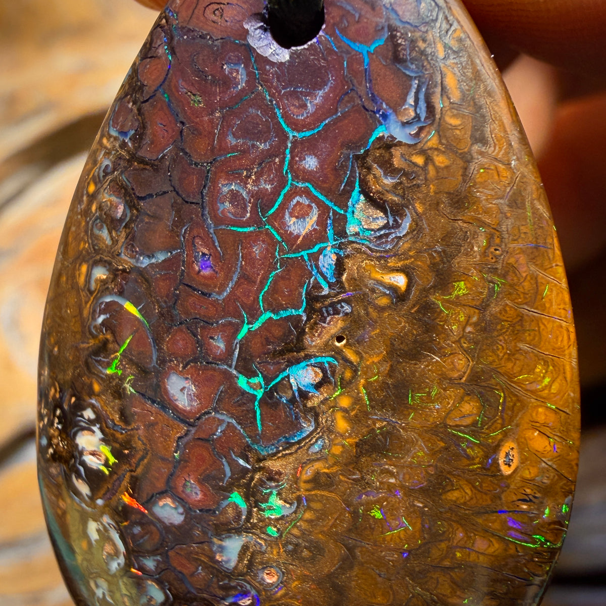 Wildcard! 39 x 25mm - Drilled Tribal Queensland Boulder Opal Necklace