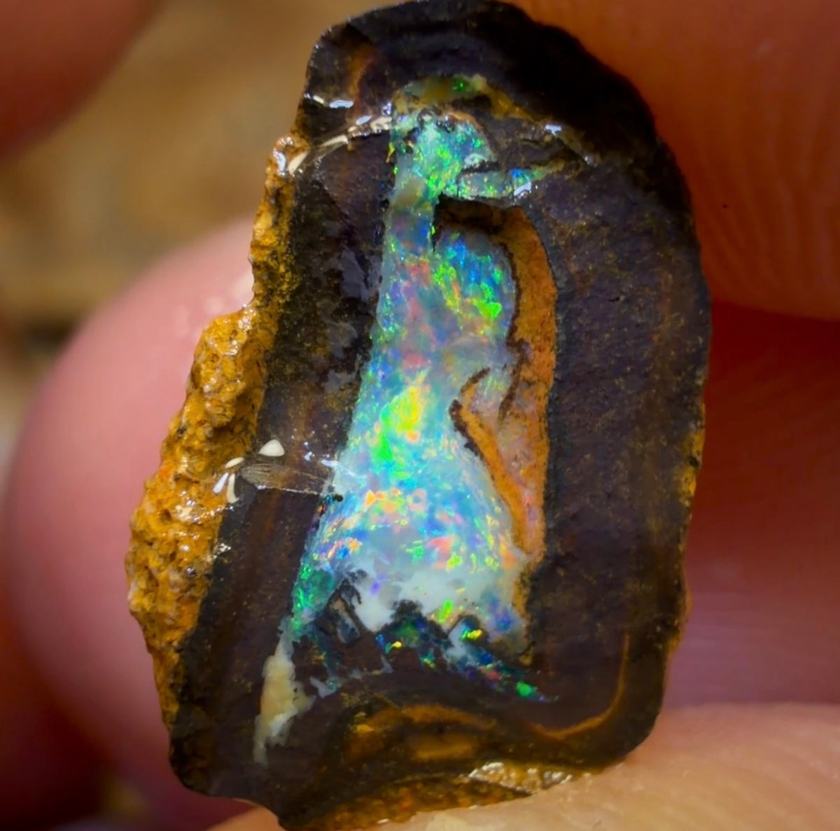 16.8cts - Yowah Jojo Nut Crystal Centre Rough Pair