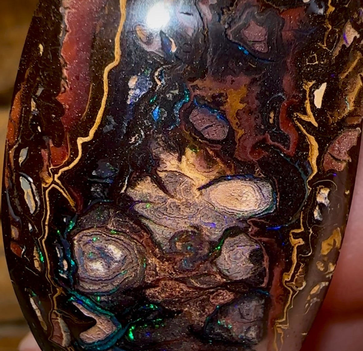 99.5cts - Big Queensland Boulder Tribal Opal Beauty - Opal Whisperers