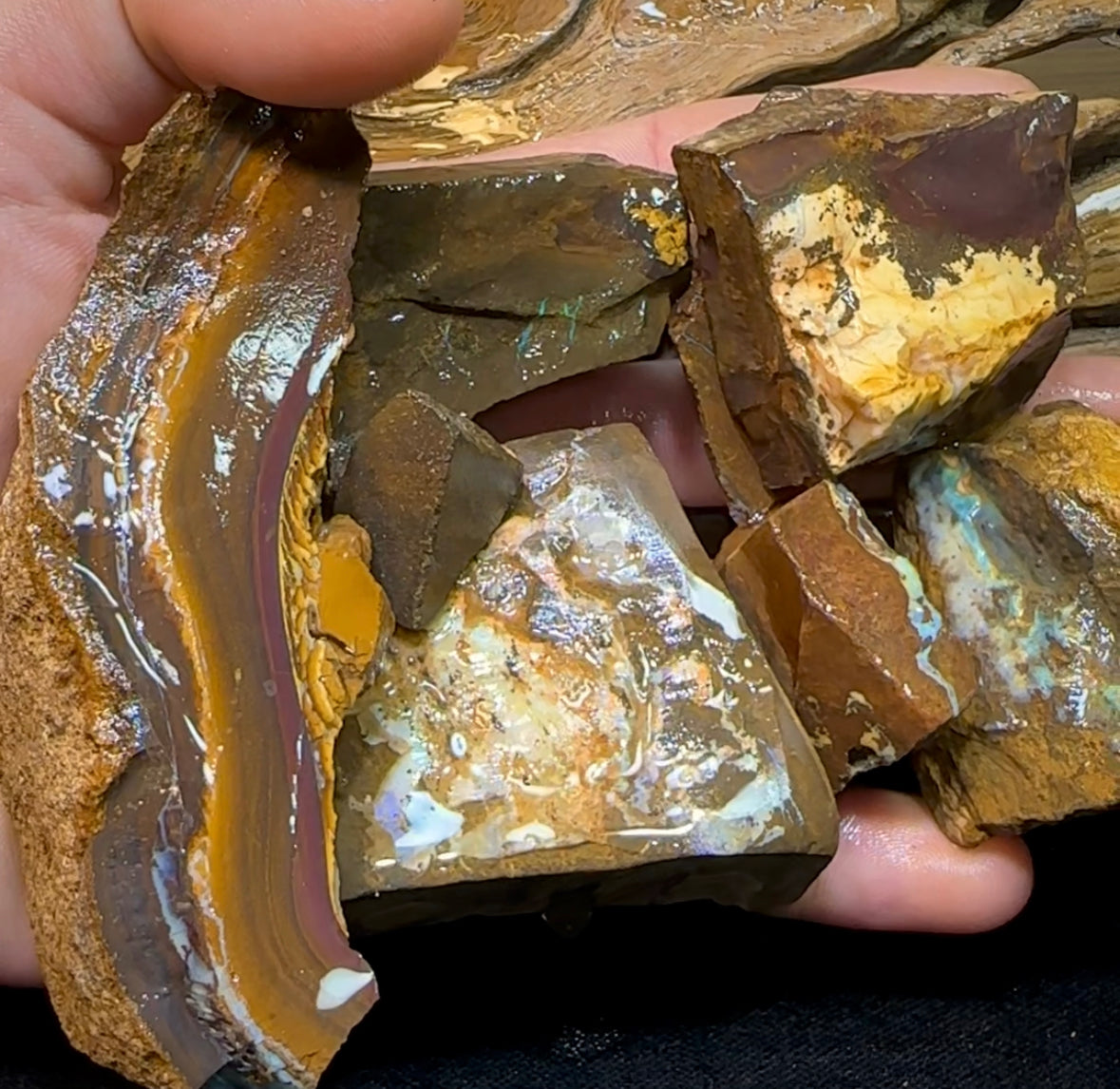 524g - Queensland Boulder Opal Rough - Opal Whisperers