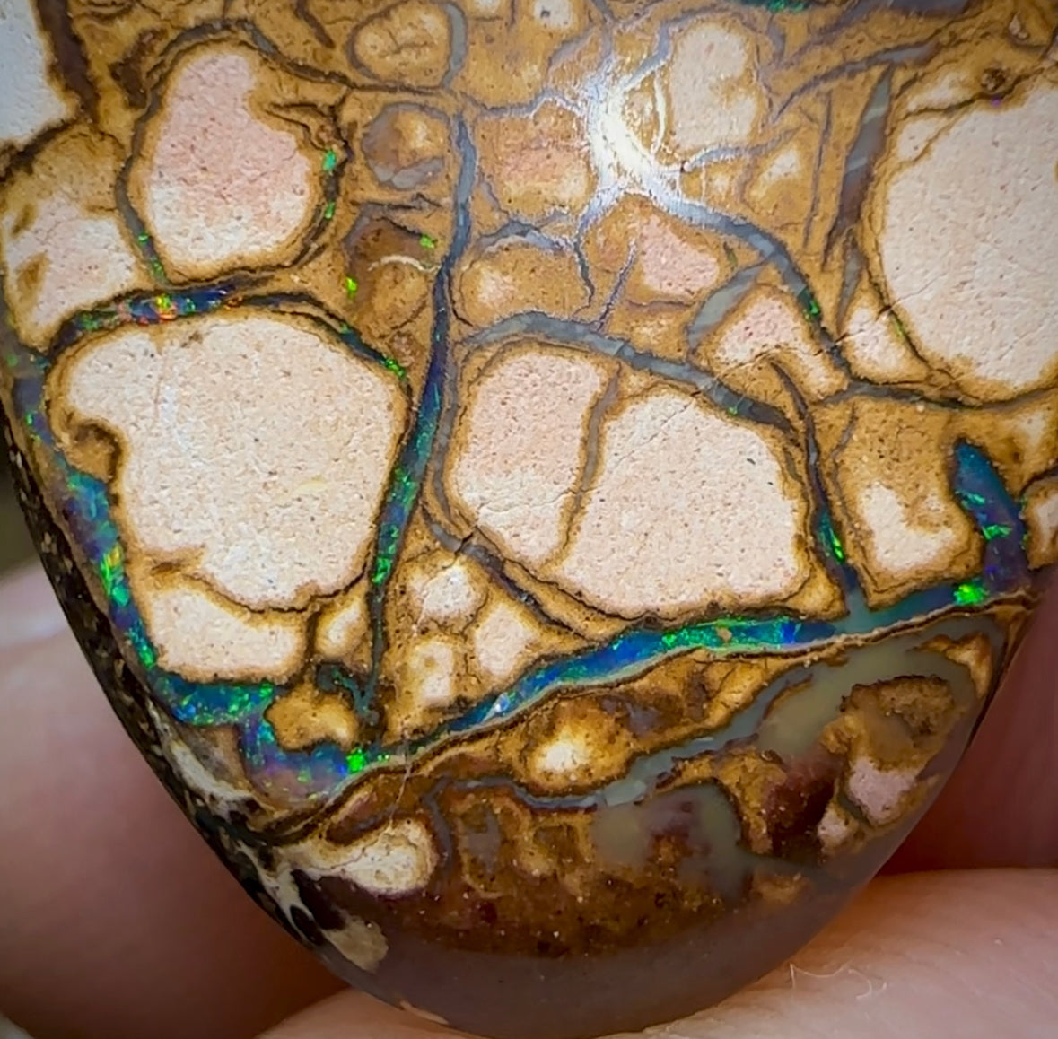 20.8cts - Yowah Nut Opal. White Porcelain Tribal Pattern - Opal Whisperers