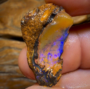 30.4cts - Yowah Nut Crystal Centre Opal Rough Specimen