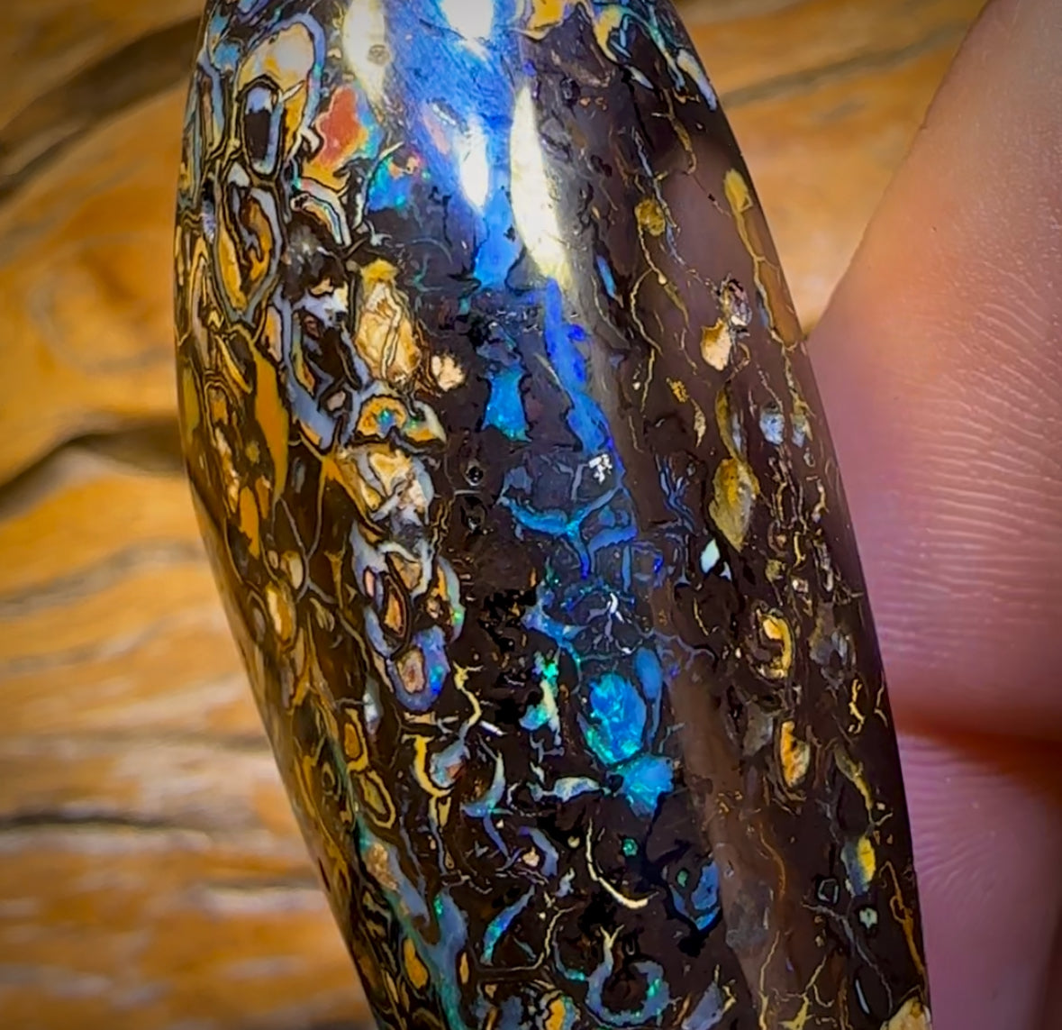 246.5cts - Tribal Queensland Boulder Opal. Polished Specimen