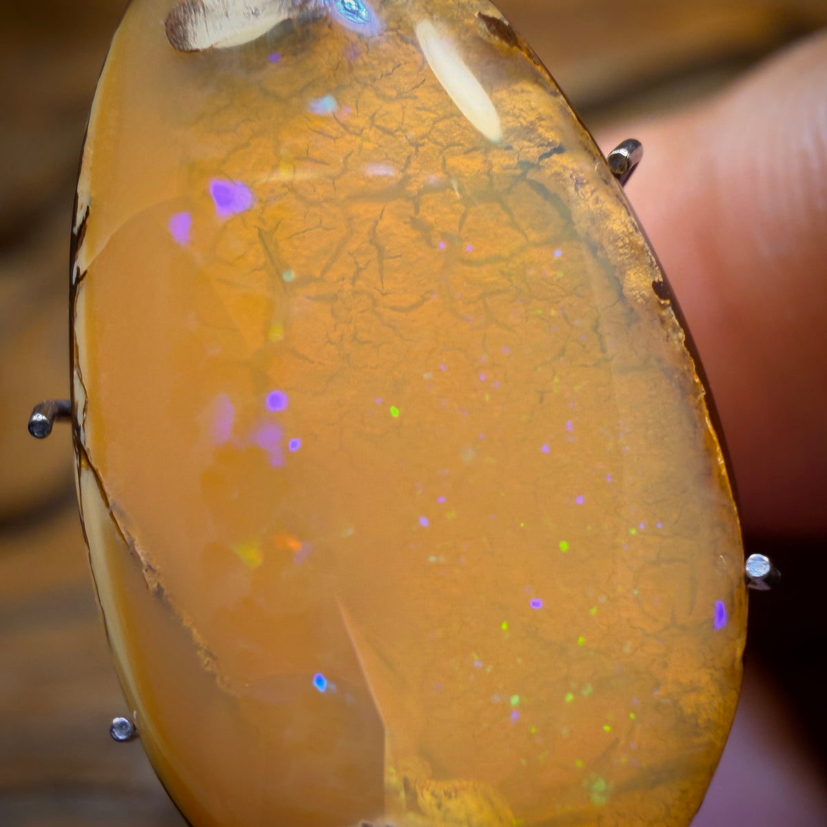 🔨 AUCTION 🔨 Reserve 💎 High Roller Banger Auction 💎 8.2cts - Yowah Nut Crystal Centre Opal. Australian Boulder Opal