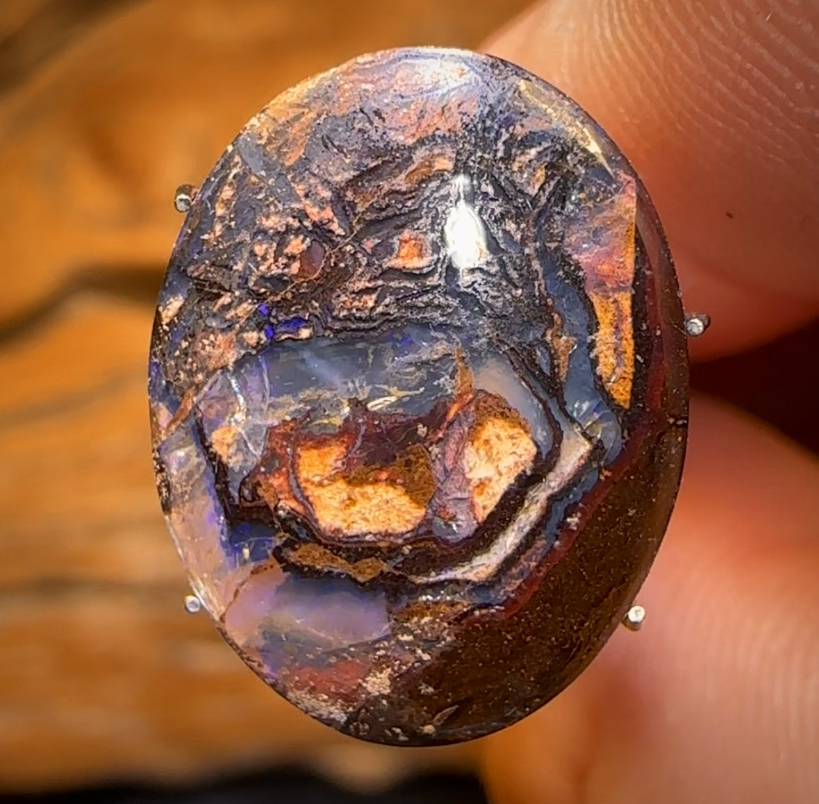 🔨 AUCTION 🔨 No Reserve 7.8cts - Tribal Queensland Boulder Opal