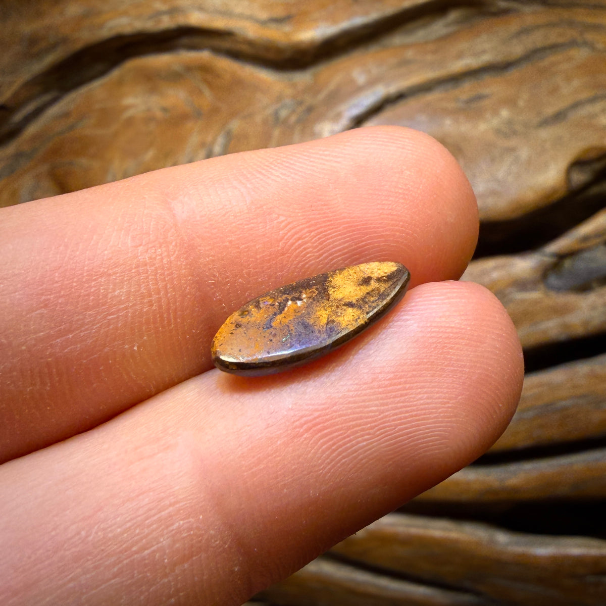 2.4cts - Wood Fossil Replacement Boulder Opal from Yowah