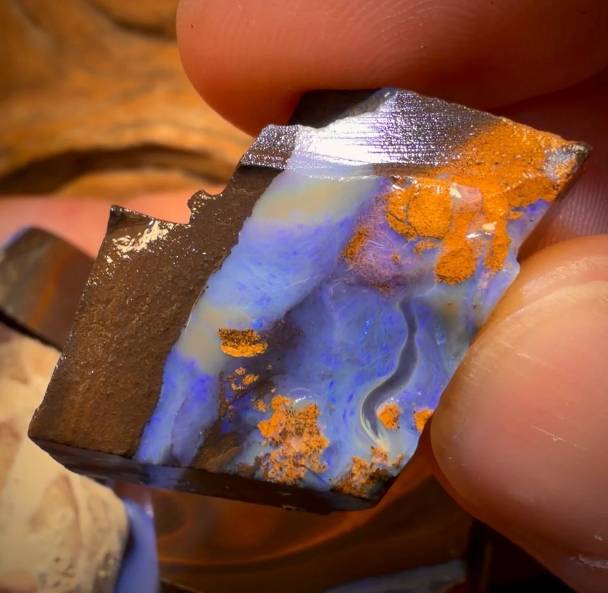 🔒 I’ve Got the Blues Collection 397.1cts - 4x Australian Boulder Seam Opal Rough Parcel