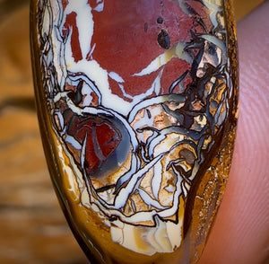 44.4cts - Tribal Queensland Boulder Opal. “Porcelain Potch Picture Piece”