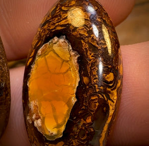 39.8cts - Super Rare Yowah Nut Crystal Centre Opal Pair