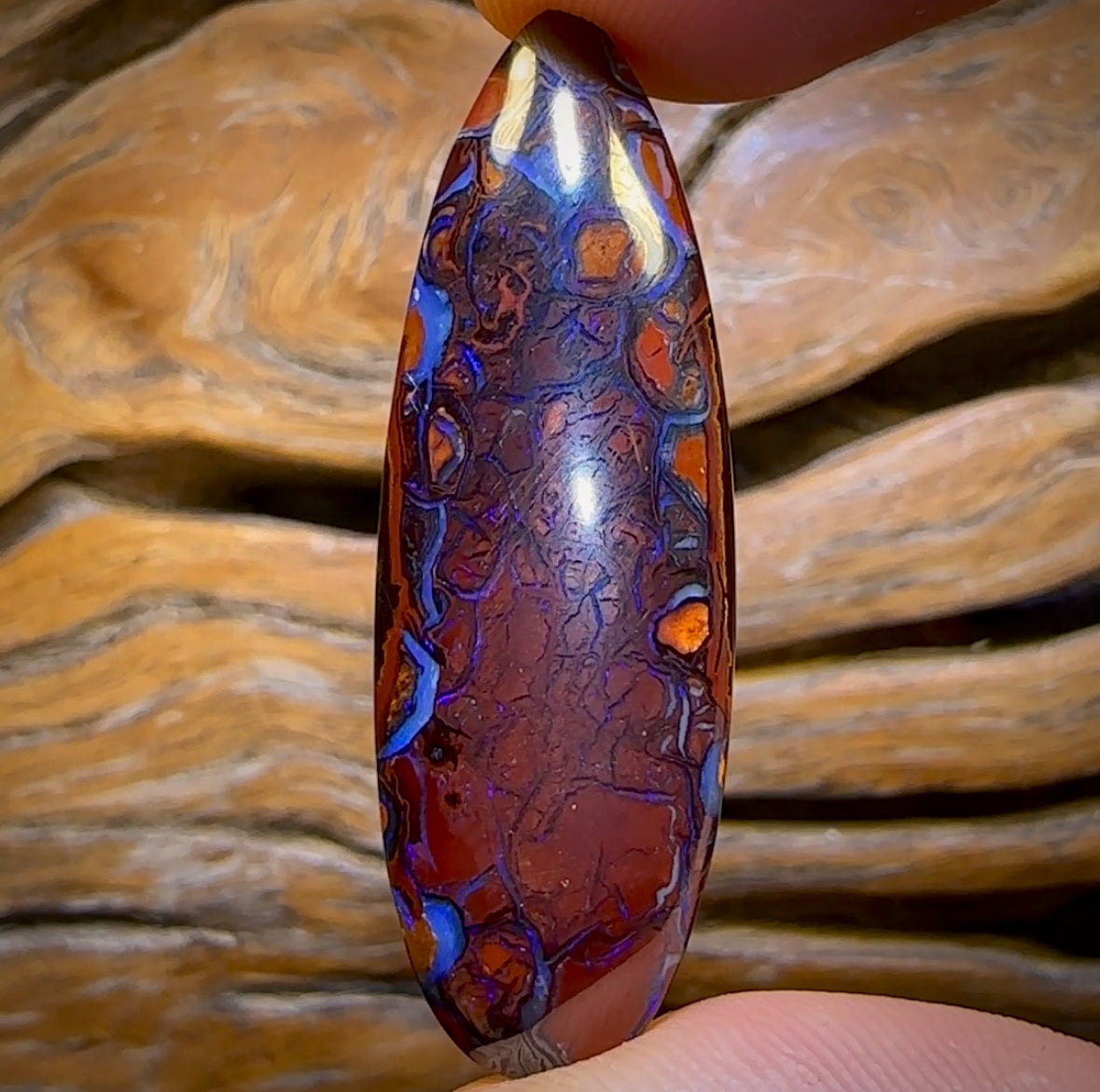 40.2cts - Tribal Queensland Boulder Opal. Australian Opal