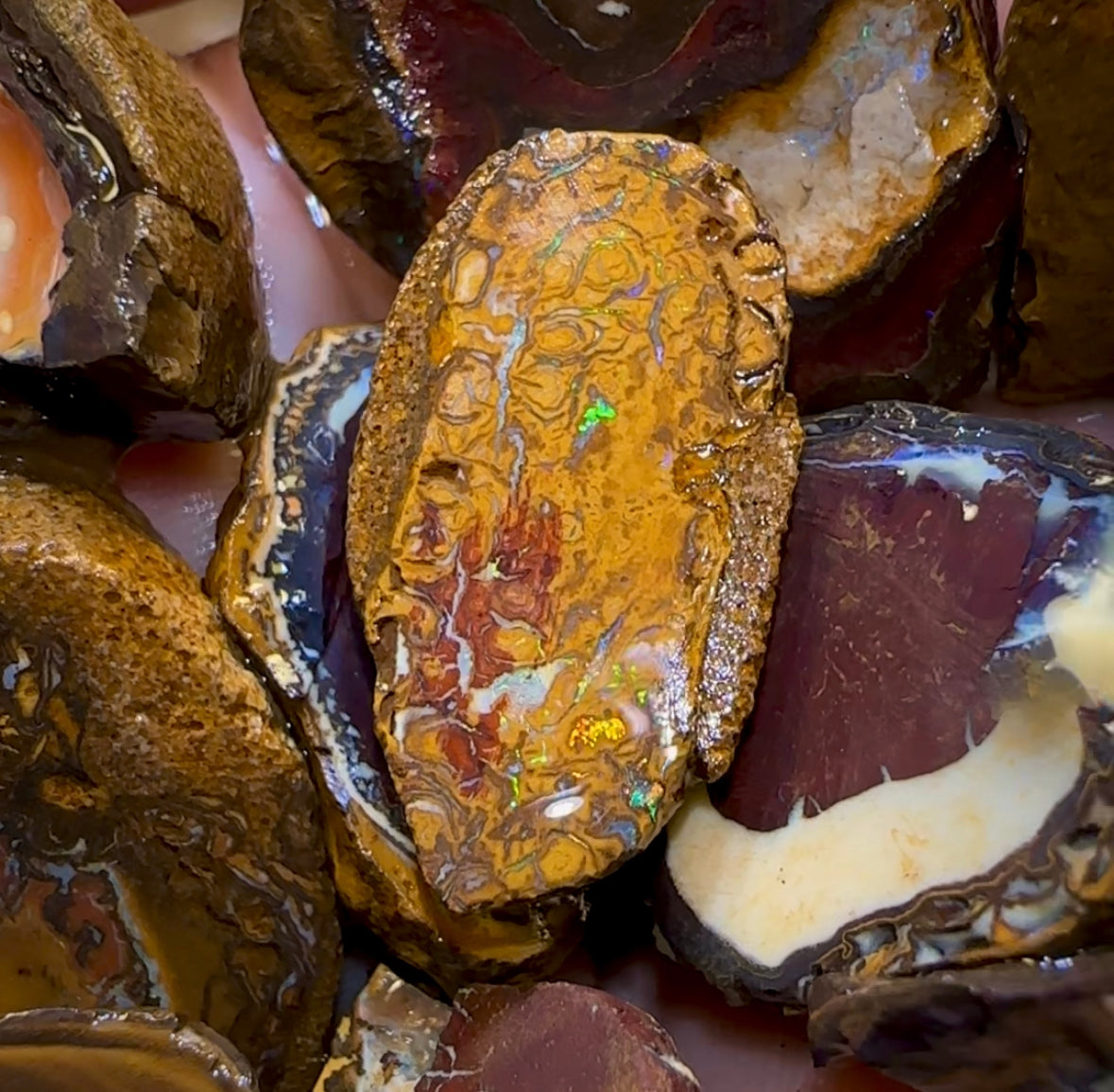 92.1g - 12x Queensland Boulder Rough Opal Parcel - Opal Whisperers