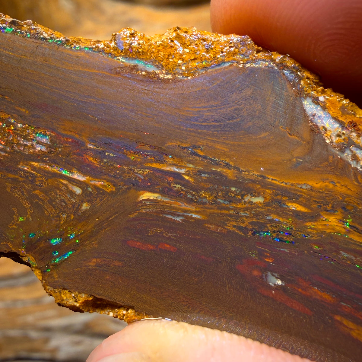 279.9cts - TOP Vegetation Fossil Replacement Boulder Opal Specimen Rub