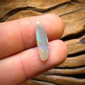 Half Price Card! 2.2cts - Dark Opal from Lightning Ridge Double Sided