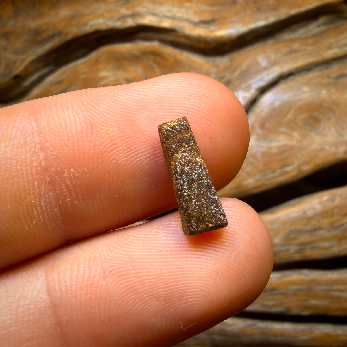 1.6cts - Australian Boulder Seam Opal from Winton
