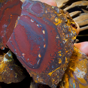 Wild Card! 1789cts - 6x Yowah Nut Tribal Opal Rough Parcel. Australian Boulder Opal
