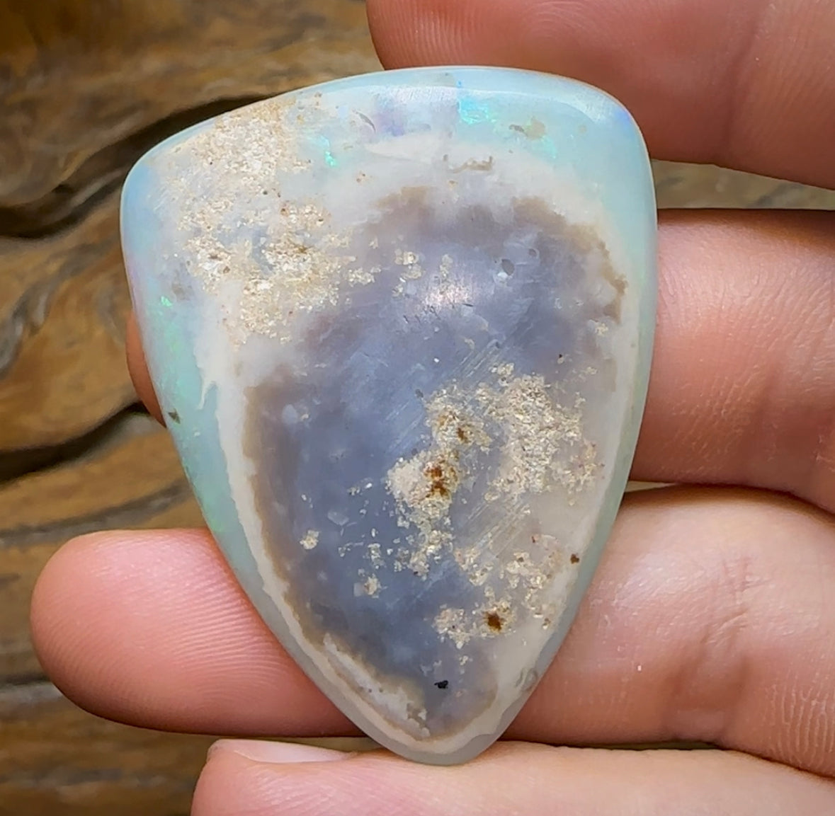 51.5cts - LARGE Heritage Collection South Australian  Crystal Opal - Opal Whisperers