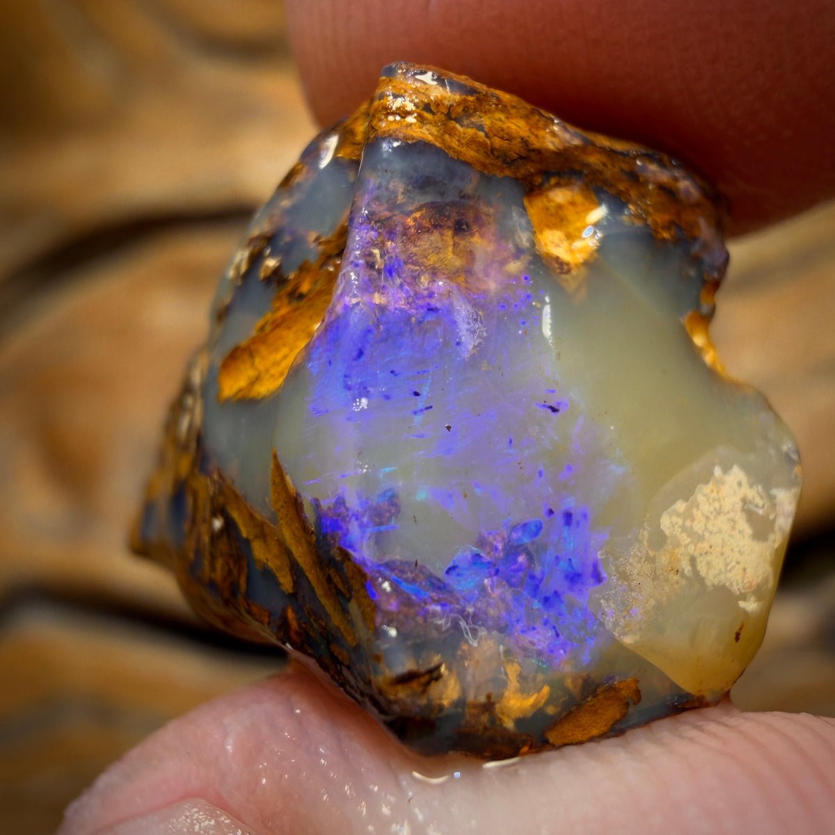 🔨 AUCTION 🔨 24.2cts - Boulder Pipe Opal Rough Piece. Australian Opal
