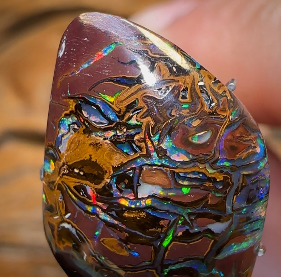 14,9 carats - Opale Boulder du Queensland de Koroit, de couleur tribale supérieure et électrique