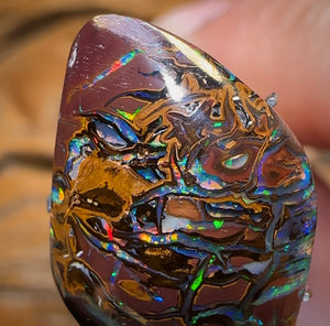 14,9 carats - Opale Boulder du Queensland de Koroit, de couleur tribale supérieure et électrique