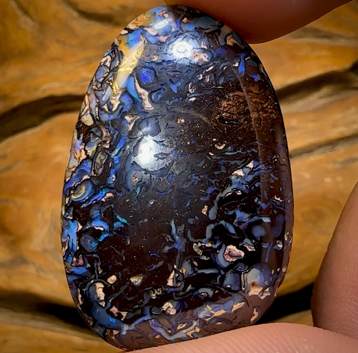 43.3cts -  “Celebrity Stone” Double Sided Tribal Yowah Nut Opal. Featured on “Outback Opal Hunters”!