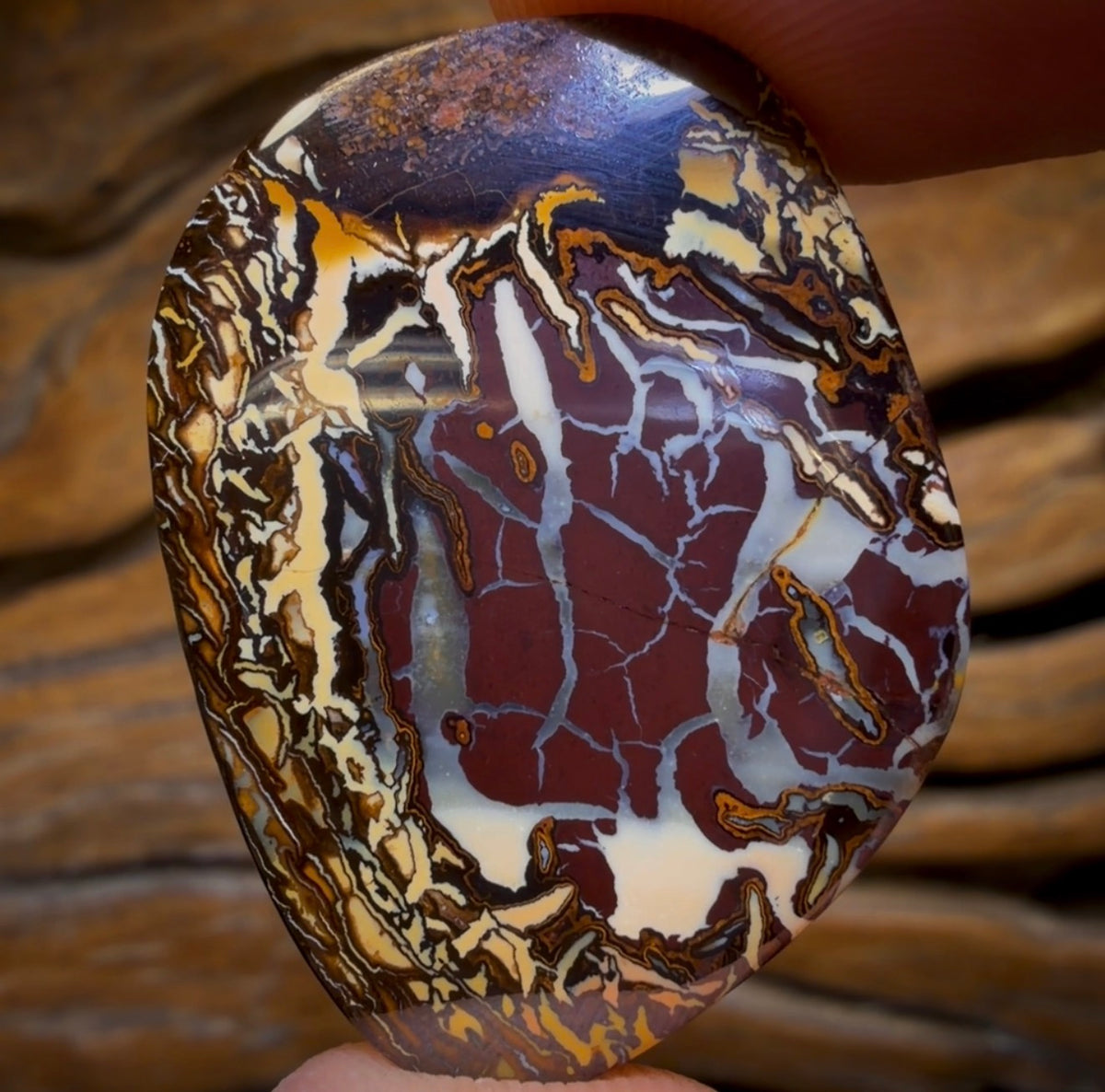 39.3cts - “Birth Of Creation” Tribal Australian Boulder Opal from Koroit