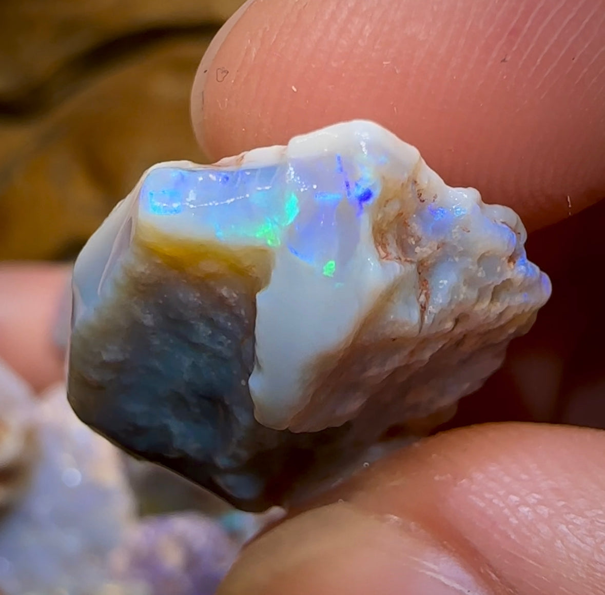 109cts - 10x Lightning Ridge Crystal and Dark Opal Rough Parcel - Opal Whisperers