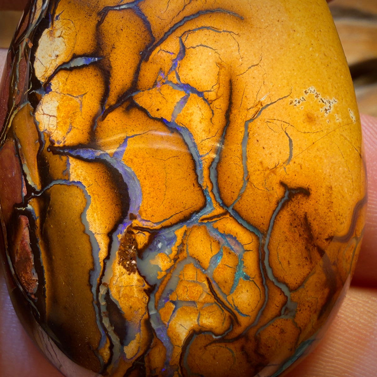 208.1cts - “Partners”Tribal Queensland Boulder Opal Pair