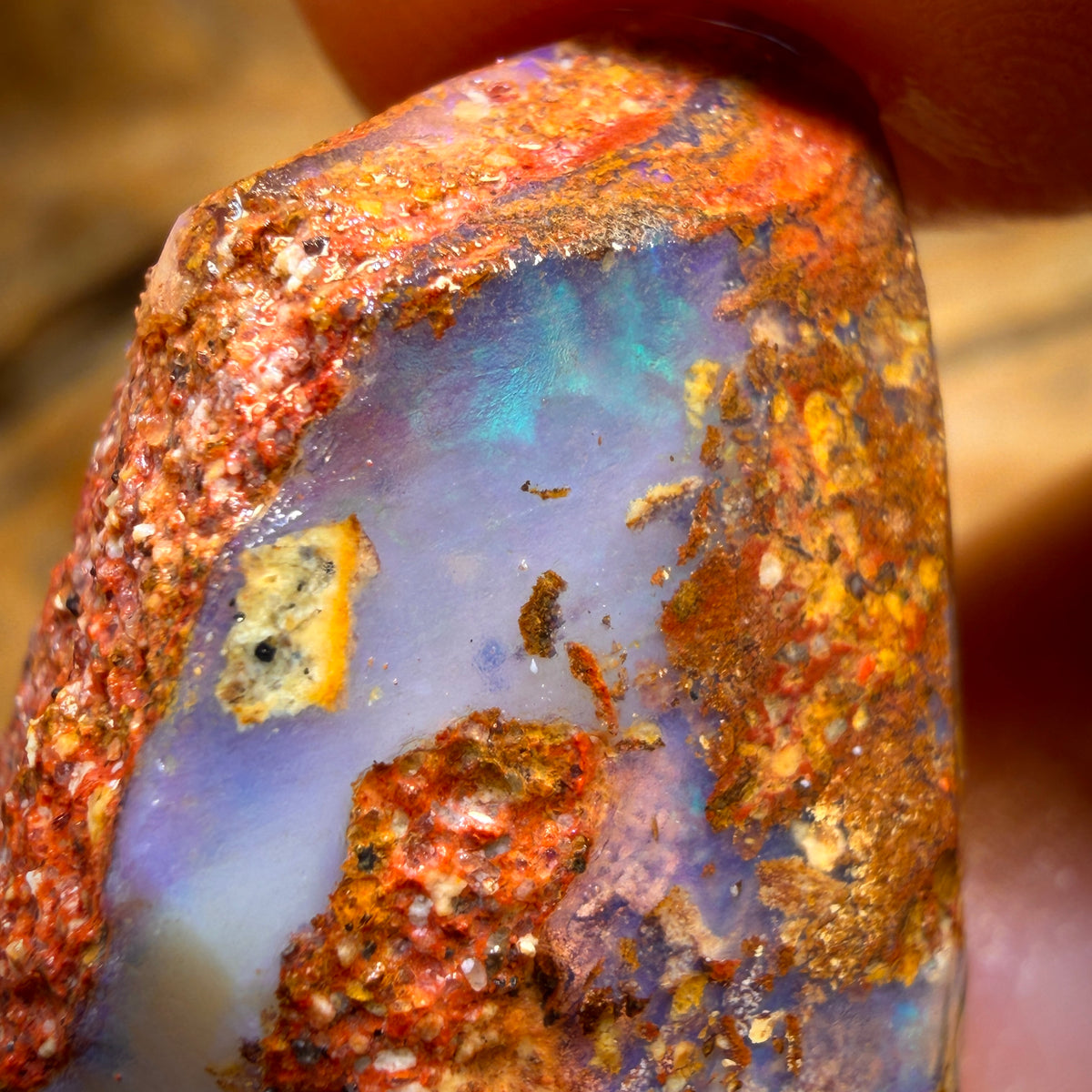 56.1cts - Boulder Pipe Opal Rough Piece. Australian Opal