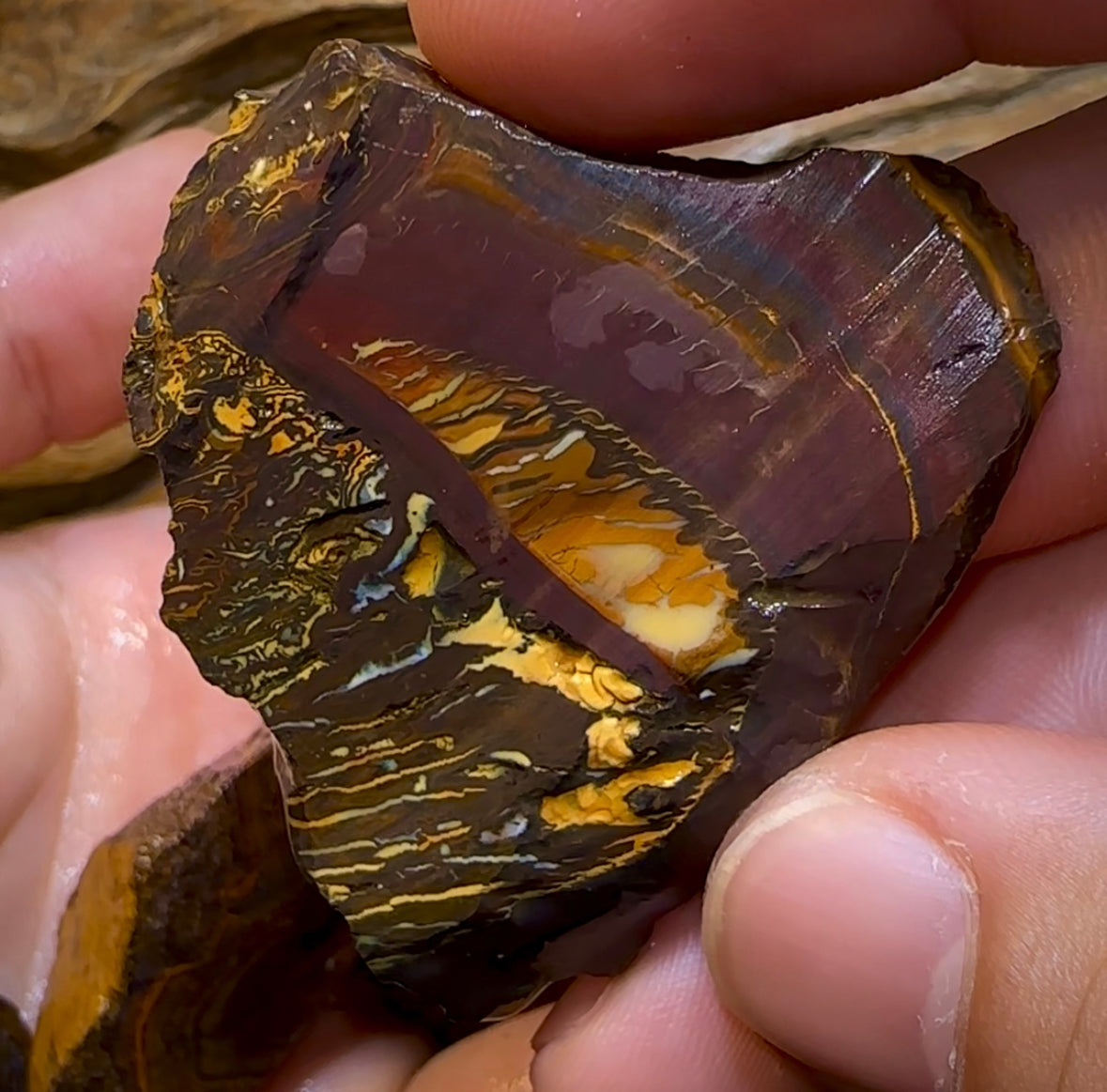 (Template) 233.8g- 7x Large Queensland Boulder Opal Rough Pieces - Opal Whisperers