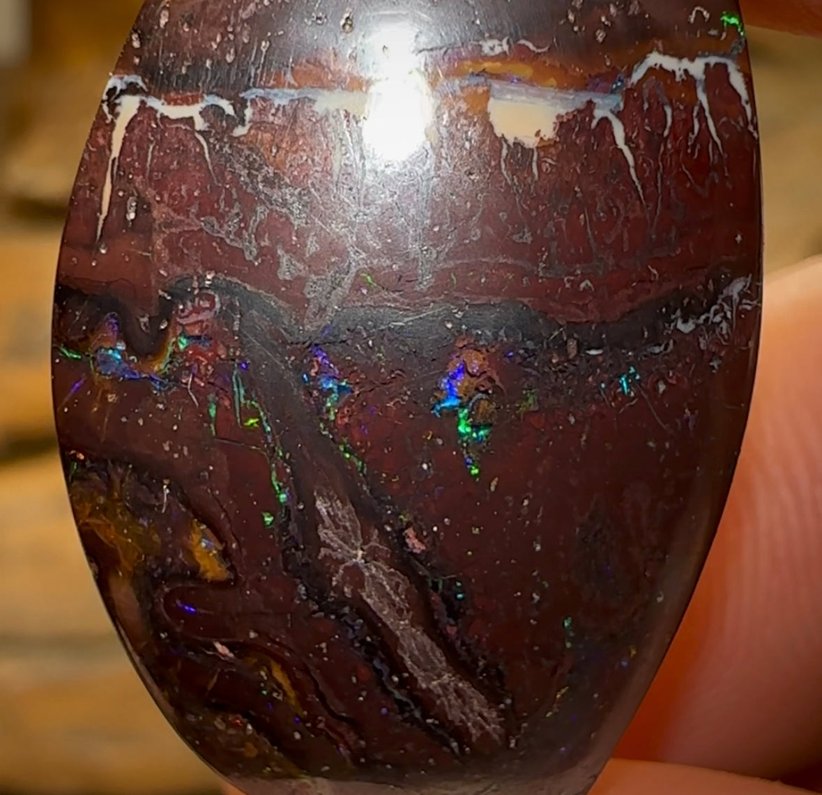 26.1cts - Queensland Boulder Opal - Opal Whisperers