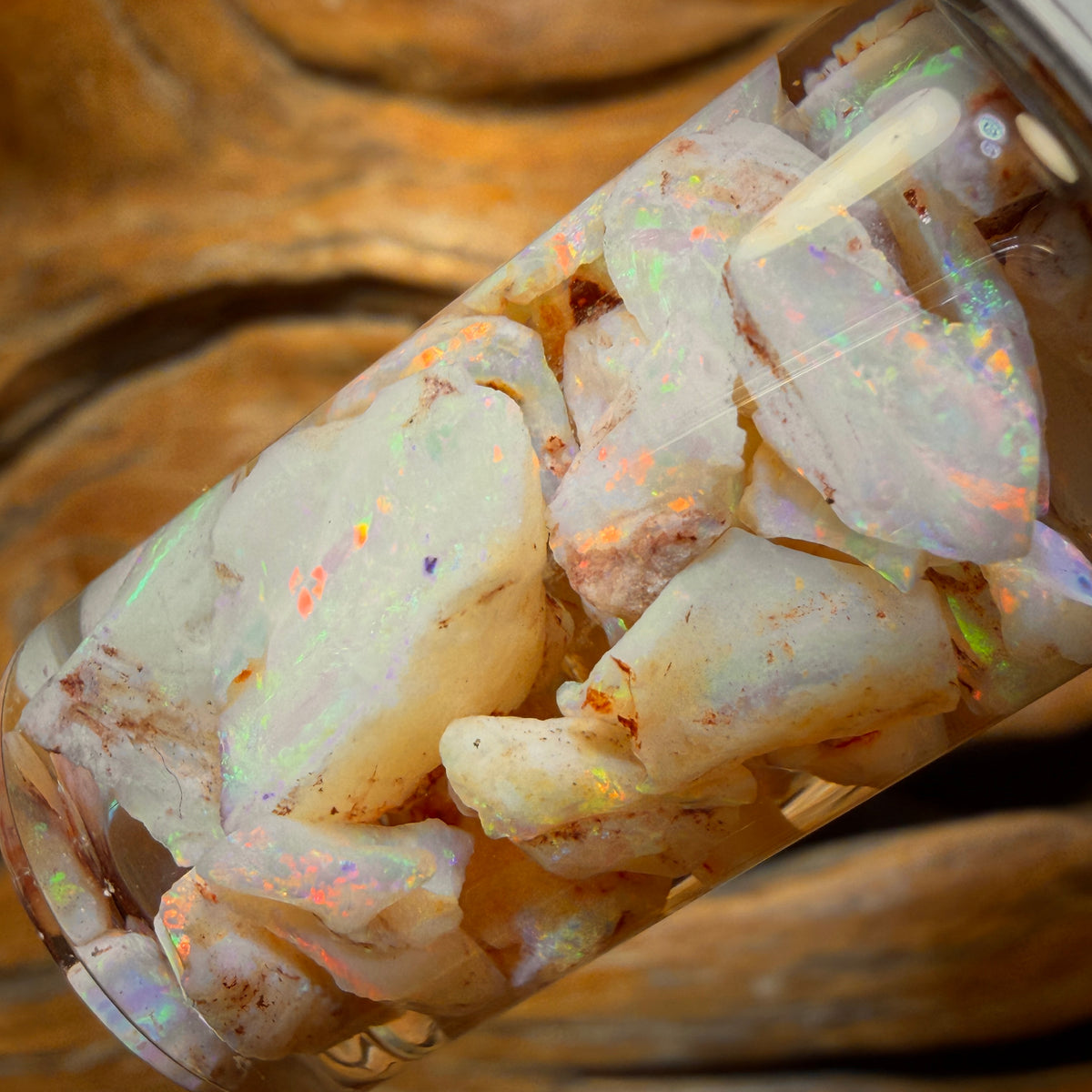 60.5cts - Vial of Shell Fossil Opal from South Australia