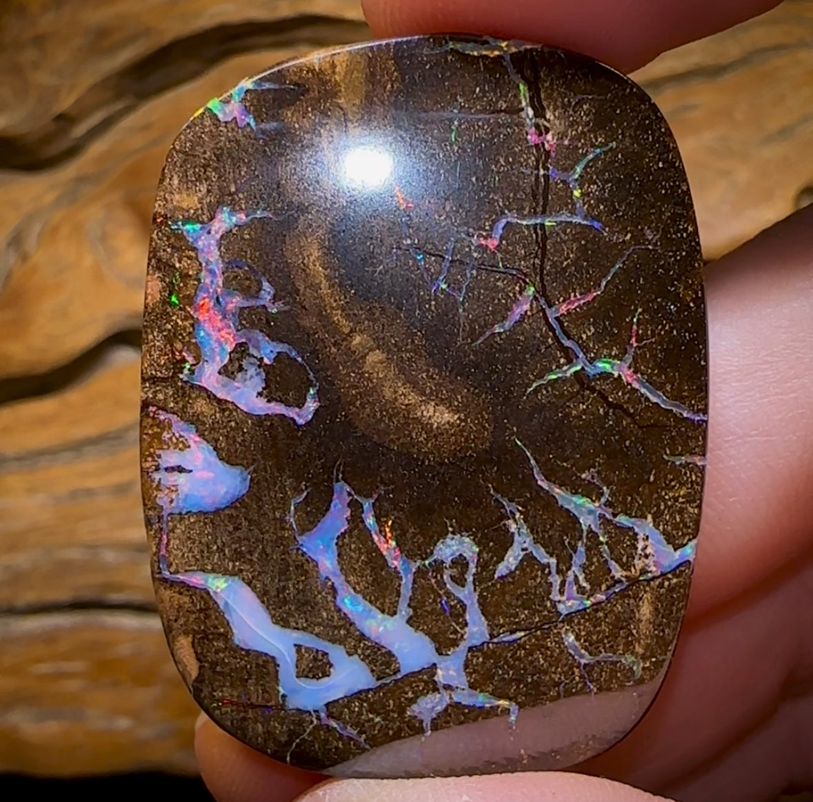 78cts - “Brolga Dance” Amazing Queensland Boulder Seam Opal Picture Stone