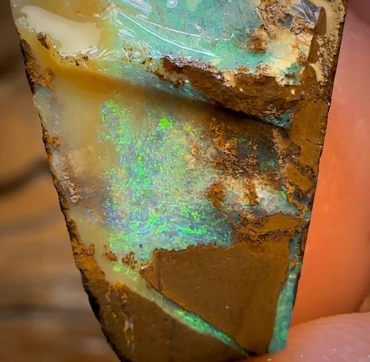 41.5cts - Queensland Boulder Seam Opal Rub