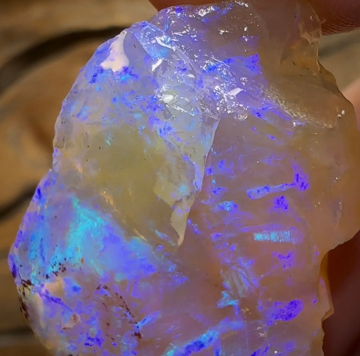 (Template) 50cts - Top Large Lightning Ridge Crystal Opal Rough Piece - Opal Whisperers